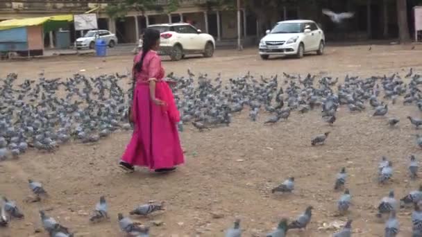 インドの路上でハトに餌をやる女性は — ストック動画