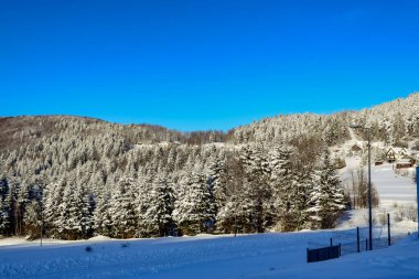 Tepenin karla kaplı çam ağaçlarıyla manzarası. Dağlarda kış.