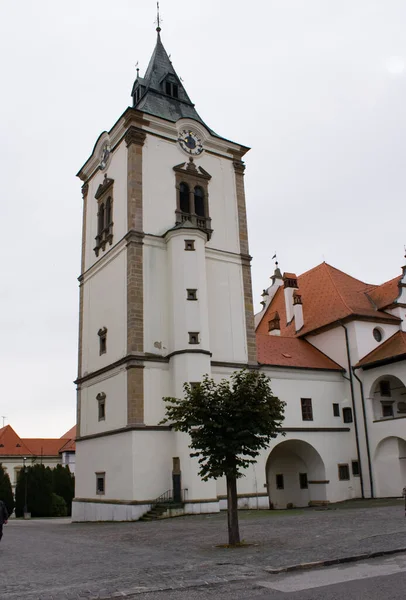 Stary Zabytkowy Budynek Pięknymi Dekoracjami Architektura Miejska Drzewa Wieża Kościelna — Zdjęcie stockowe