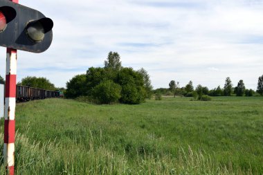 Uzakta treni olan bir bahar çayırı.