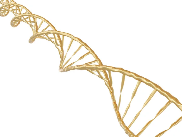 흰 바탕에 황금색 DNA 구조가 새겨져 있다 — 스톡 사진