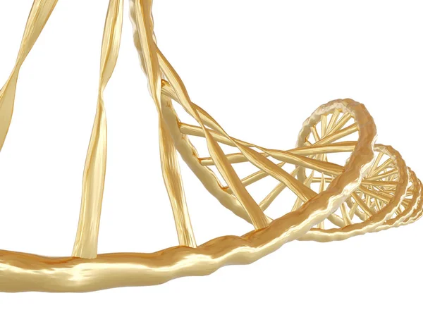 Segmento da estrutura dourada do ADN no fundo branco — Fotografia de Stock
