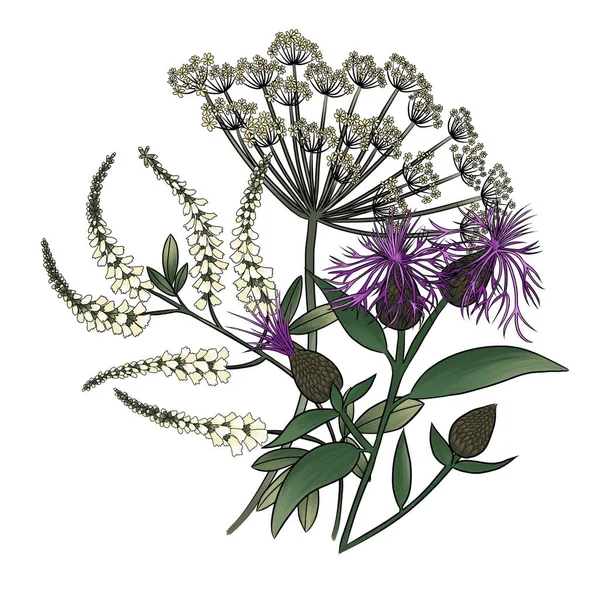 flower arrangement on white background with thistle, anise and sweet clover isolated