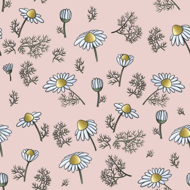 Kusursuz desenli papatya çiçeği ve tomurcukları.