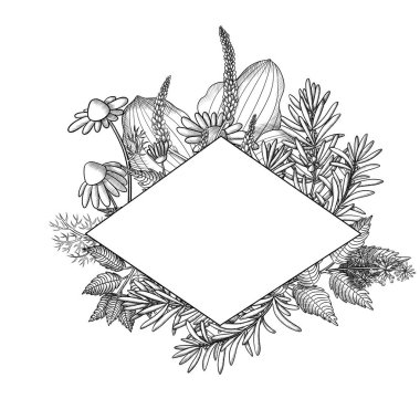 Çerçeveli bitkiler, muzlu nane biberiyesi, papatya çayı.