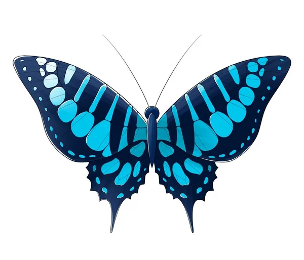 Butterfly Spots Blue Isolated — Stock Photo, Image