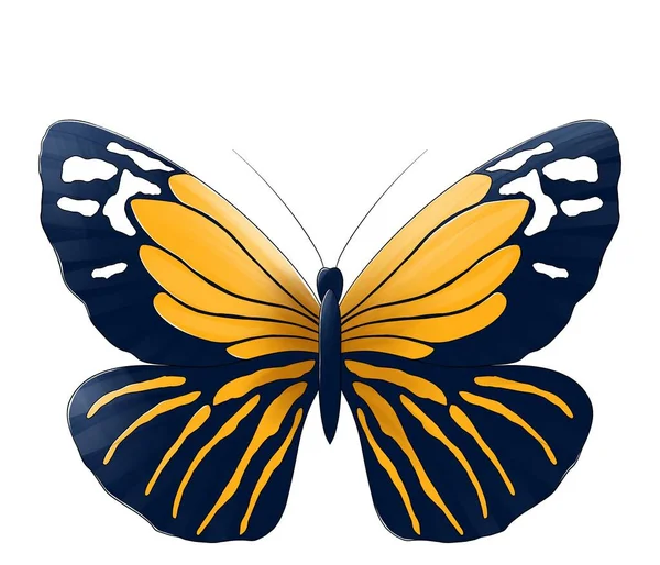 Kelebek Turuncu Kahverengi Benekli — Stok fotoğraf