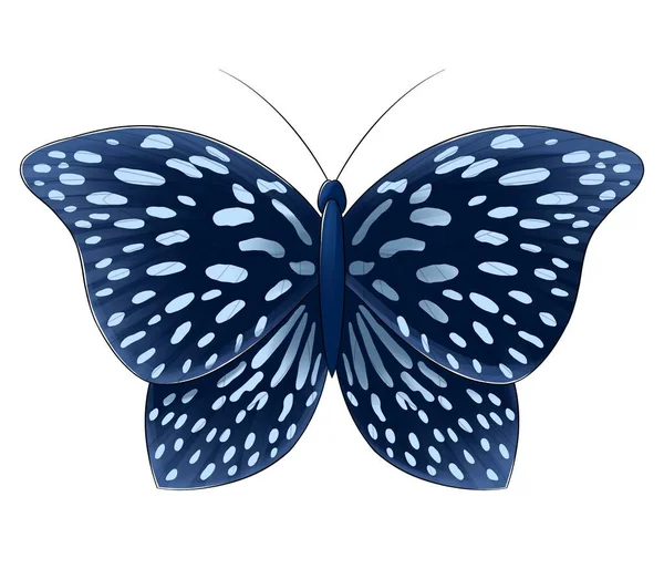 Butterfly Spots Blue Isolated — Stock Photo, Image