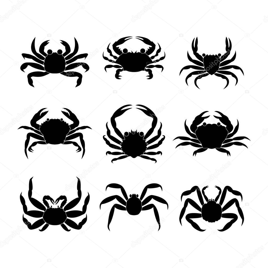 Icons of sea crabs of different species of the crustacean family on a white background. Vector image.