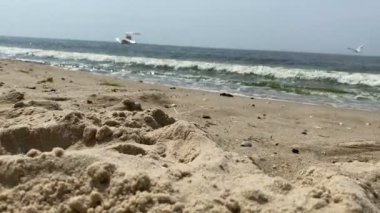 Fırtınadan sonra deniz yosunu ve deniz kabuklarıyla dolu statik bir kumsal görüntüsü.