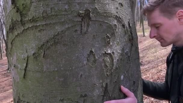 Молодий дорослий чоловік спирається на дерево з чолом у лісі — стокове відео