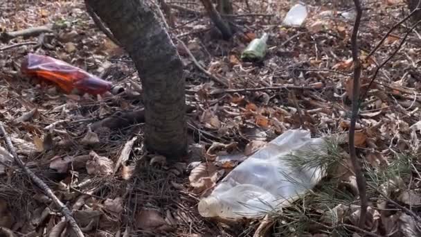 Pădure poluată cu gunoi, sticle de plastic — Videoclip de stoc