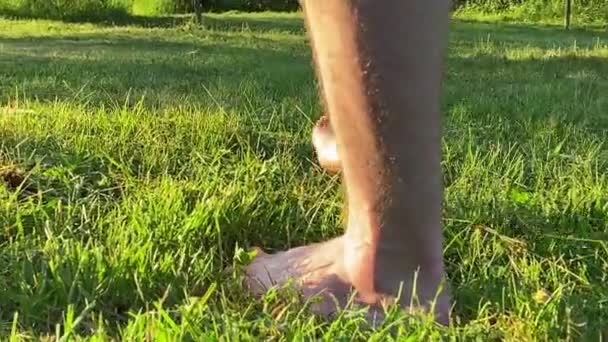 Close Rear View Male Legs Walking Fresh Green Grass Sunny — Video