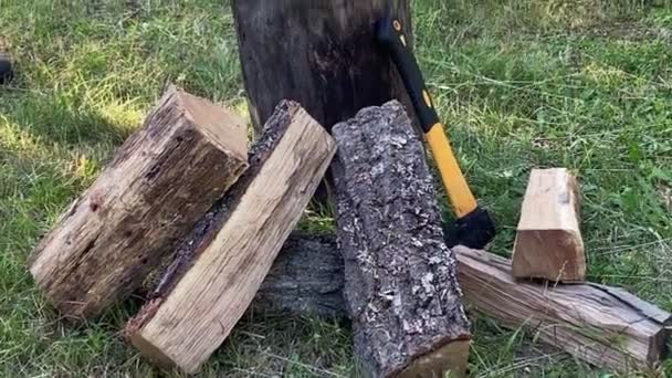 Camera Moving Showing Pile Logs Wood While Countryman Chopping Wood — Stockvideo