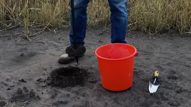 Closeup Male Agronomist Using Soil Probe Sampler Putting Sample Bucket — Stockvideo