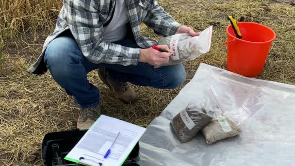 High Angle View Agronomist Marking Soil Sample Bag Taking Notes — стоковое видео