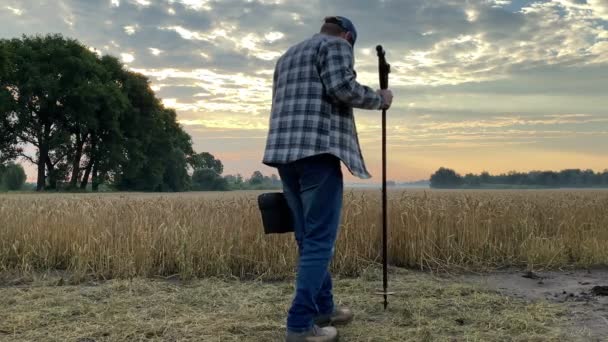Male Agronomist Approaching Grain Field Holding Soil Probe Sampler Toolbox — стоковое видео