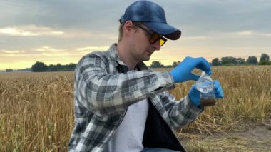 Agronomy scientist conducting soil analysis by adding reagent to glass beaker with sample, observing reaction in flask at agricultural grain field in warm rays of summer dawn. Environment research