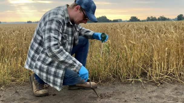 Agronomy Specialist Measuring Soil Value Moisture Temperature Using Soil Tester — Stockvideo