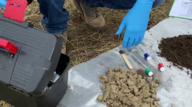 Closeup male agronomy scientist hands in protective gloves preparing for measuring soil pH value, moisture, temperature by using soil tester at field at dawn. Environment research, soil certification