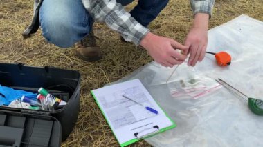Agronomy specialist preparing grain sample for laboratory analysis, putting ear of wheat into sample bag, taking notes in information sheet at agricultural field. Male farmer checking harvest outdoors