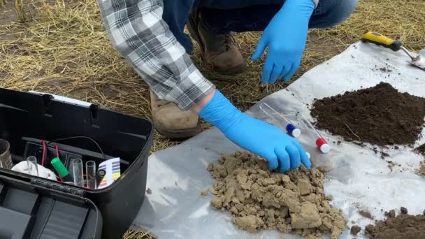 Closeup Male Agronomist Protective Gloves Taking Kneading Soil Sample Hands — Stok video