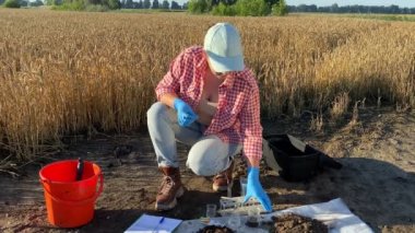 Female agronomy specialist conducting soil acidity test by taking pH litmus paper, dipping in glass beaker with sample, checking with control card at agricultural grain field in rays of summer dawn