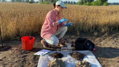 Female agronomy specialist testing soil sample by using laboratory equipment outdoors. Woman agronomist performing soil certification at agricultural grain field at sunrise. Environment research
