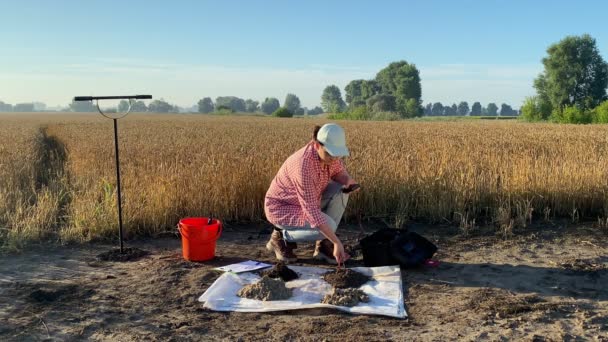 Female Agronomy Specialist Measuring Soil Value Acidity Temperature Moisture Using — Stok video