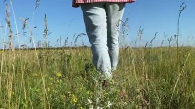 Low section of woman walking along meadow, enjoying beauty of nature at morning. Young adult female farmer going to sunflower agricultural field. Countryside lifestyle. Agriculture concept