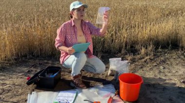 Female agronomy specialist using digital tablet, preparing ears of wheat for laboratory analysis, taking grain in sample bag, entering data in digital device at agricultural field at sunrise.