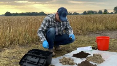 Agronomy specialist performing experiment outdoors, determining soil pH value acidity. Professional farmer adding reagent to glass beaker with soil sample, examining test at agricultural field at dawn