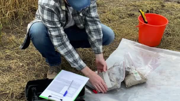 High Angle View Male Agronomist Providing Soil Sampling Preparing Material — Stockvideo