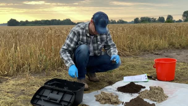 Agronomy Specialist Performing Experiment Outdoors Determining Soil Value Acidity Professional — Stock video