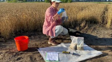 Female agronomist preparing soil samples laboratory analysis, marking sample bags with ground at sunrise outdoors. Woman farmer conducting soil sampling at agricultural grain field. Soil certification
