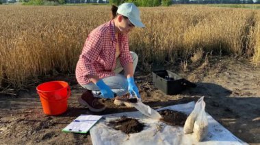 Female professional farmer sampling soil into sample bags outdoors. Woman agronomist taking material for laboratory analysis at agricultural field at sunrise. Environment research, soil certification