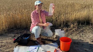 Professional female farmer examining ears of wheat in sample bags, preparing grain crop for laboratory analysis at sunrise outdoors. Woman agronomist working at agricultural field. Agriculture concept