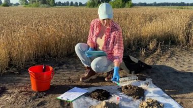 Female agriculturist sampling soil for laboratory analysis, taking test tube, entering data into digital tablet outdoors at sunrise. Woman professional farmer working at agricultural grain field