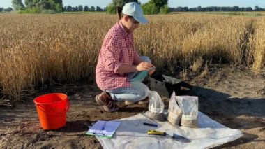 Woman agronomist preparing soil samples in samples bags for laboratory analysis, entering data in digital tablet outdoors at sunrise. Female professional farmer working at agricultural wheat field