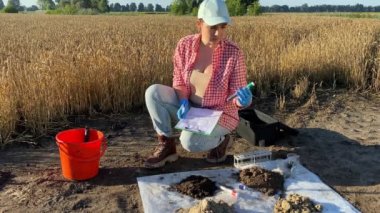 Female agriculturist sampling soil for laboratory analysis, taking test tube, making records sample information sheet outdoors at sunrise. Woman professional farmer working at agricultural grain field