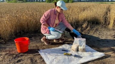 Woman agronomist preparing soil samples in samples bags for laboratory analysis, noting data in information sheet outdoors at sunrise. Female professional farmer working at agricultural wheat field