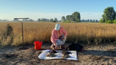 Female agronomist probing soil samples by using soil tester at sunrise outdoors. Woman agronomy specialist measuring pH value of soil by digital device at agricultural field. Environment research