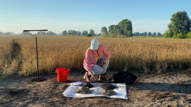 Female Agronomist Probing Soil Samples Using Soil Tester Sunrise Outdoors — Vídeos de Stock