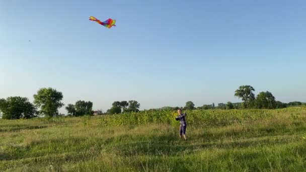 Joyful Little Boy Flying Kite Playing Toy Outdoors Positive Kid — Vídeos de Stock