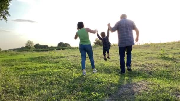Silhouette Family One Child Walking Sunset Meadow Happy Family Spending — Vídeos de Stock
