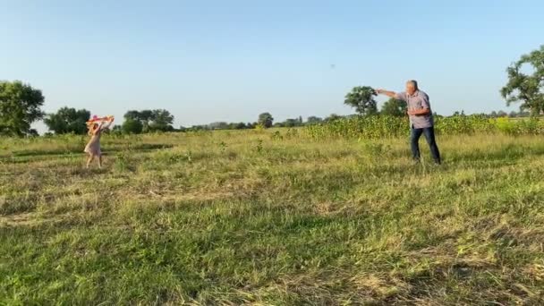 Experienced Father Teaching Daughter Fly Kite Sunset Outdoors Little Girl — Vídeo de Stock