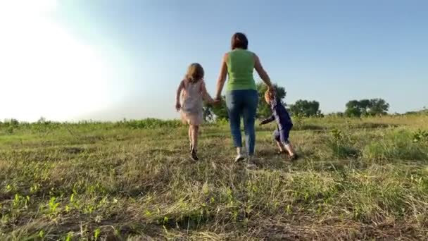 Rear View Family Two Children Walking Field Sunset Mother Little — Stock Video