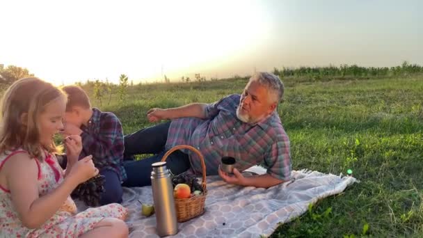 Closeup Little Girl Eating Grape While Picnicking Family Meadow Sunset — Stok Video