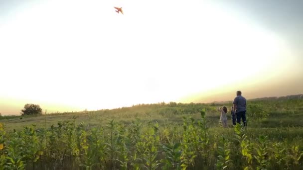 Father Two Kids Flying Kite Meadow Golden Lights Sunset Family — Vídeo de Stock