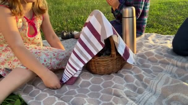 Father Two Children Picnicking Meadow Golden Lights Sunset Family Two — Vídeo de stock